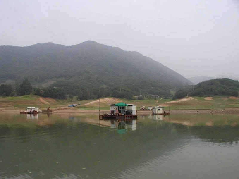 충주호 37cm 대물붕어의 모습입니다 (조황조행기 - 특파원조황)