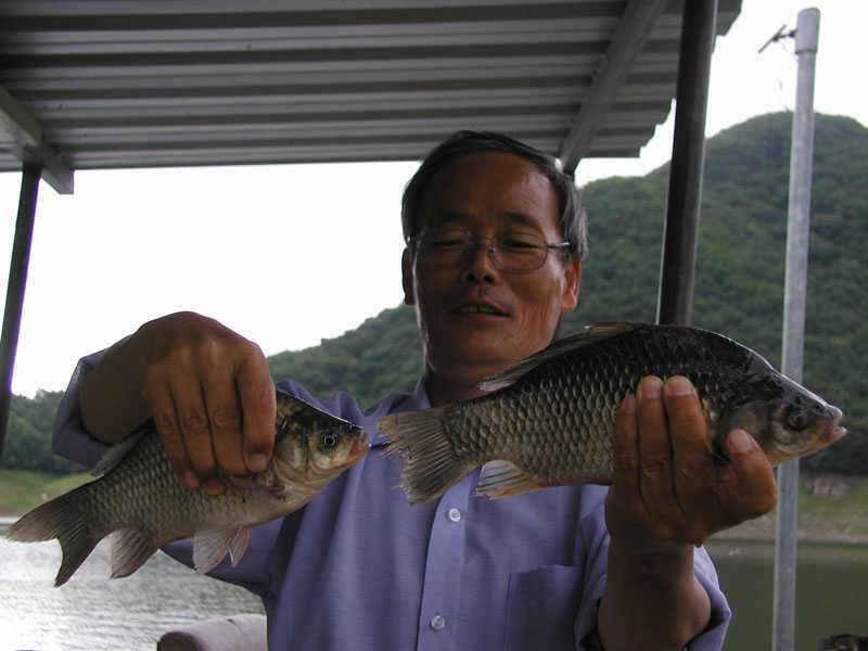 충주호 4자 대물붕어에 마릿수 붕어에 대물장어까지 (조황조행기 - 특파원조황)