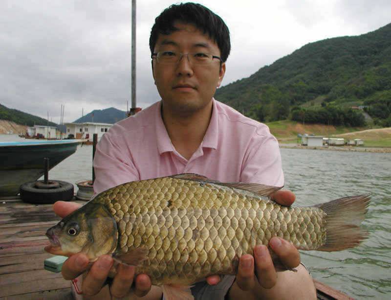 충주호 4자 대물붕어에 마릿수 붕어에 대물장어까지 (조황조행기 - 특파원조황)