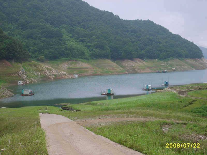 충주호 목벌낚시터 대물장어 월척붕어 소식입니다 (조황조행기 - 특파원조황)