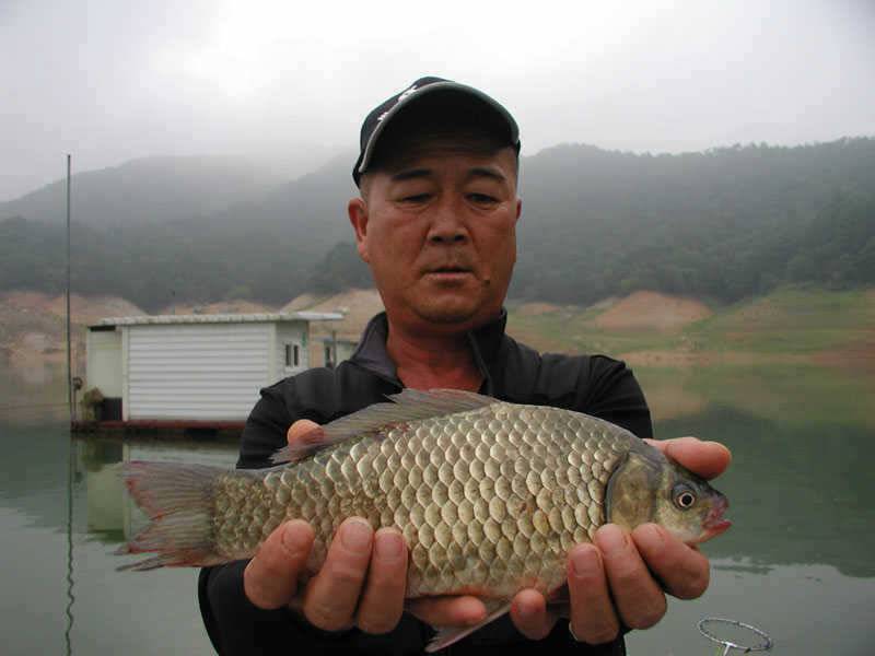 충주호 대박에 대박조황 양어장이 따로 없네요 (조황조행기 - 특파원조황)
