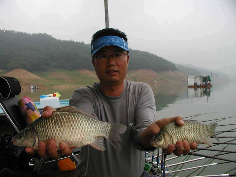 충주호 대박에 대박조황 양어장이 따로 없네요 (조황조행기 - 특파원조황)
