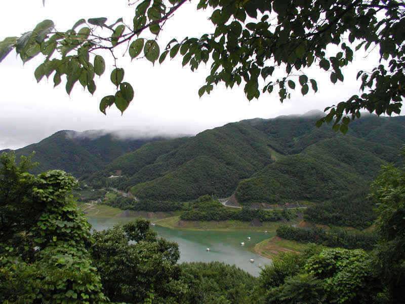 충주호 오름수위 현재의 상황 참고하세요 대물장어의 모습 (조황조행기 - 특파원조황)