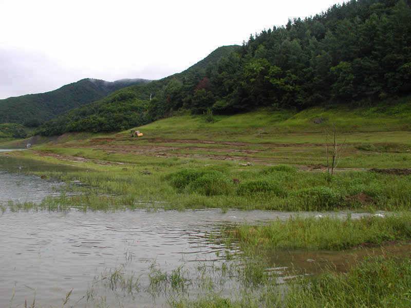 충주호 오름수위 현재의 상황 참고하세요 대물장어의 모습 (조황조행기 - 특파원조황)