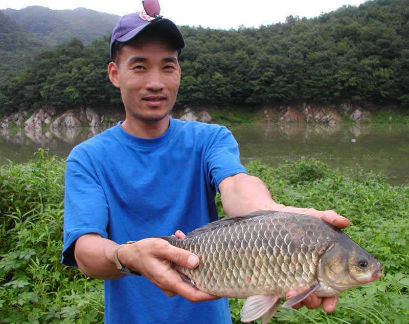충주호 노지에서는 38cm 대물붕어 좌대에는 4자 등 폭팔조황 (조황조행기 - 특파원조황)