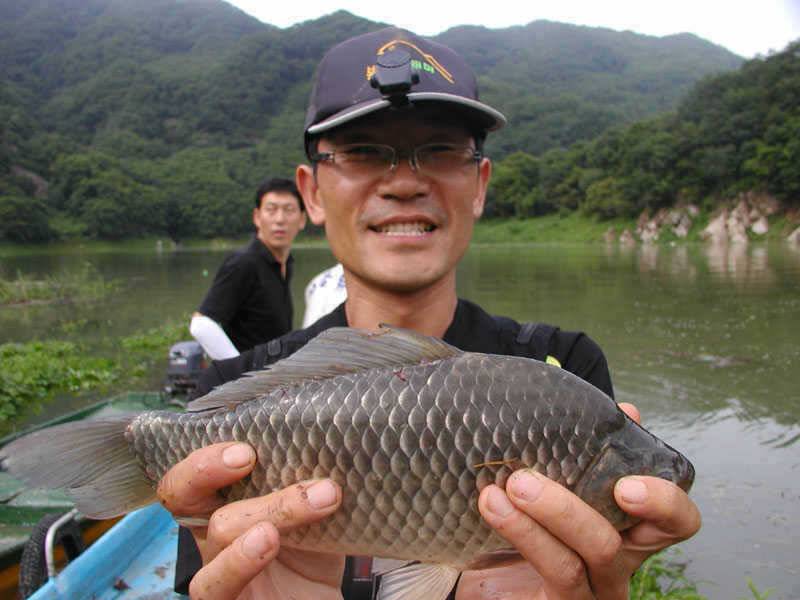 충주호 노지에서는 38cm 대물붕어 좌대에는 4자 등 폭팔조황 (조황조행기 - 특파원조황)