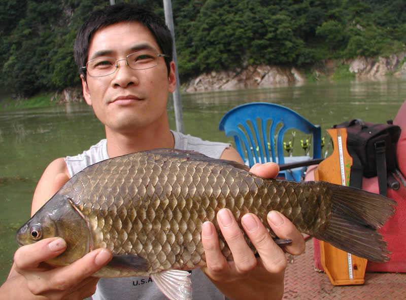 충주호 노지에서는 38cm 대물붕어 좌대에는 4자 등 폭팔조황 (조황조행기 - 특파원조황)