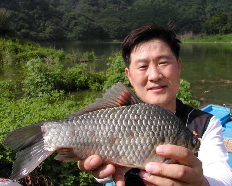 충주호 솔낚시터에서는 4자대물로 노지에서는 마릿수 대박을 이어갑니다 (조황조행기 - 특파원조황)