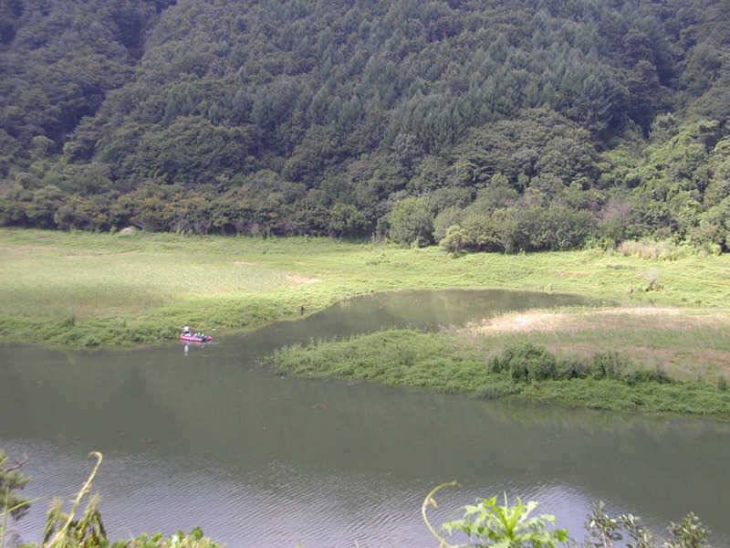 충주호 솔낚시터에서는 4자대물로 노지에서는 마릿수 대박을 이어갑니다 (조황조행기 - 특파원조황)