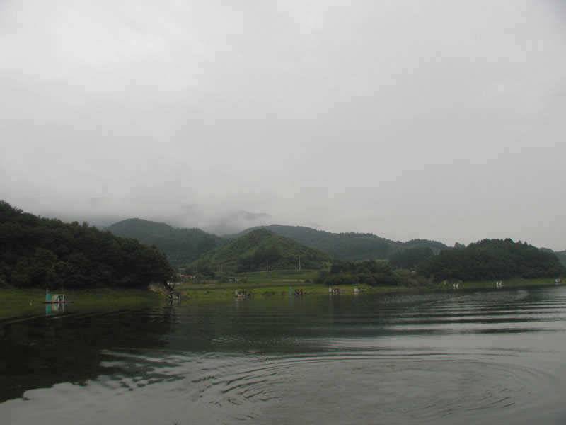 충주호 하천낚시터 조황 소식입니다 (조황조행기 - 특파원조황)