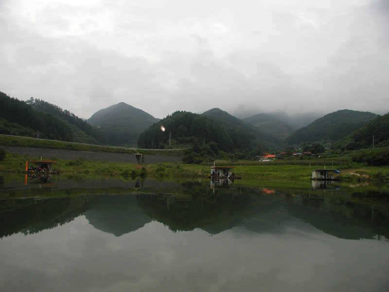 충주호 하천낚시터 조황 소식입니다 (조황조행기 - 특파원조황)