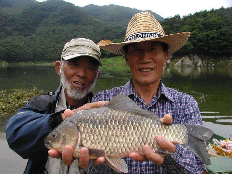 충주호 내림 수위에도 4자붕어에 마릿수 조과도 있네요 (조황조행기 - 특파원조황)