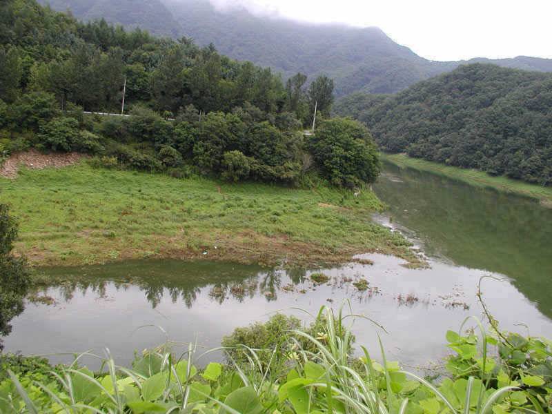 충주호 내림 수위에도 4자붕어에 마릿수 조과도 있네요 (조황조행기 - 특파원조황)