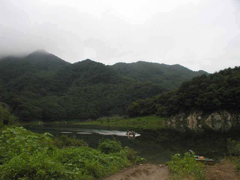 충주호 내림 수위에도 4자붕어에 마릿수 조과도 있네요 (조황조행기 - 특파원조황)