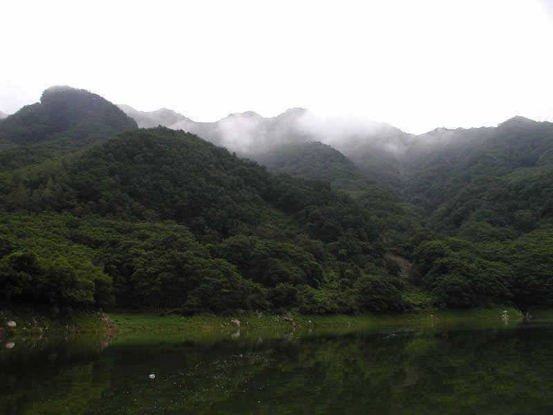 충주호 내림 수위에도 4자붕어에 마릿수 조과도 있네요 (조황조행기 - 특파원조황)