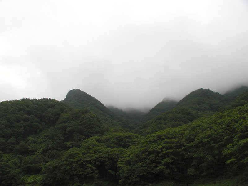 충주호 내림 수위에도 4자붕어에 마릿수 조과도 있네요 (조황조행기 - 특파원조황)