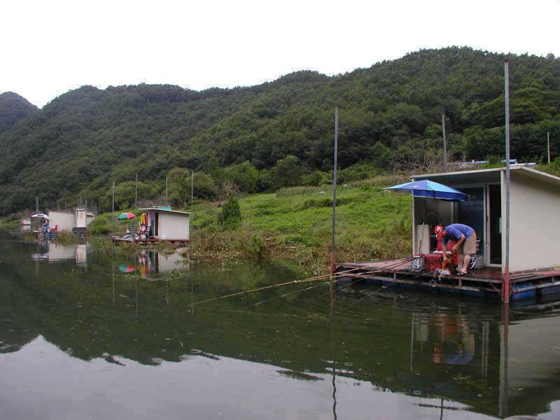충주호 내림 수위에도 4자붕어에 마릿수 조과도 있네요 (조황조행기 - 특파원조황)