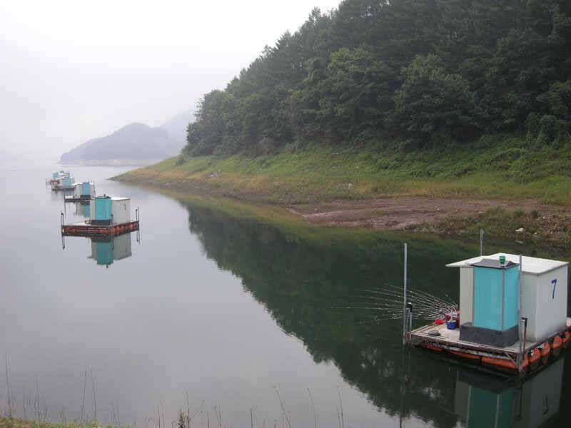 충주호 4자붕어에 대물장어 쏘가리 모습입니다 (조황조행기 - 특파원조황)