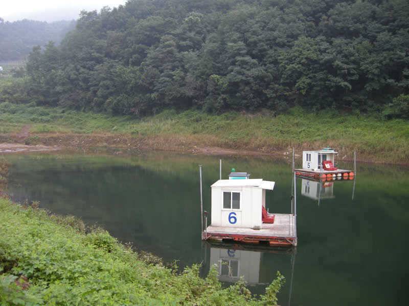 충주호 4자붕어에 대물장어 쏘가리 모습입니다 (조황조행기 - 특파원조황)