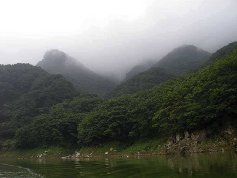 충주호 4자붕어에 대물장어 쏘가리 모습입니다 (조황조행기 - 특파원조황)