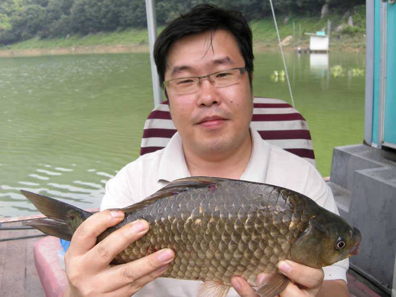 충주호 4자붕어에 대물장어 쏘가리 모습입니다 (조황조행기 - 특파원조황)