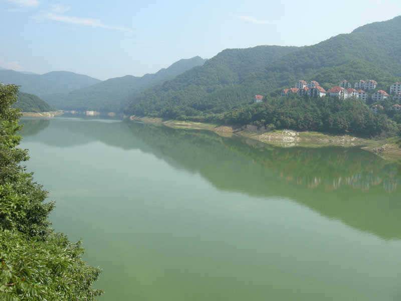 저력의 충주호 오늘도 4자 행진은 이어지고 있습니다 (조황조행기 - 특파원조황)
