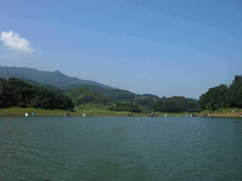 저력의 충주호 오늘도 4자 행진은 이어지고 있습니다 (조황조행기 - 특파원조황)