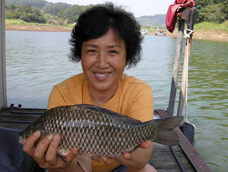 저력의 충주호 오늘도 4자 행진은 이어지고 있습니다 (조황조행기 - 특파원조황)