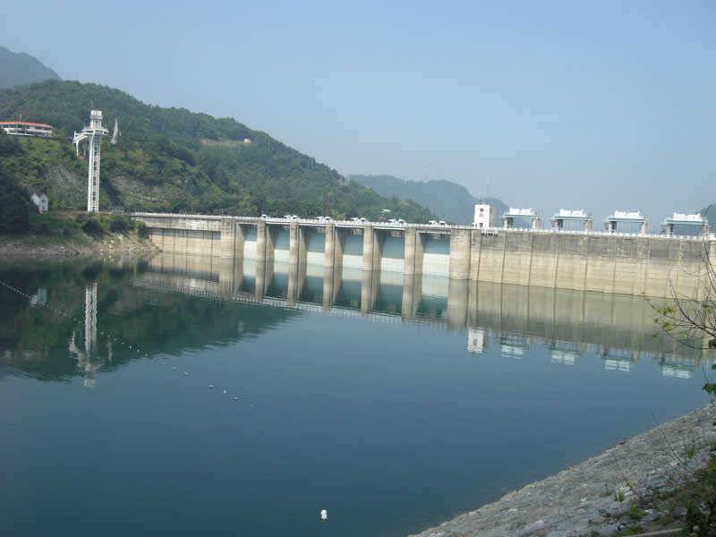 저력의 충주호 오늘도 4자 행진은 이어지고 있습니다 (조황조행기 - 특파원조황)