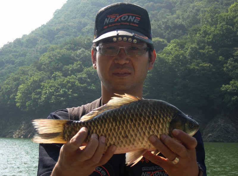 저력의 충주호 오늘도 4자 행진은 이어지고 있습니다 (조황조행기 - 특파원조황)