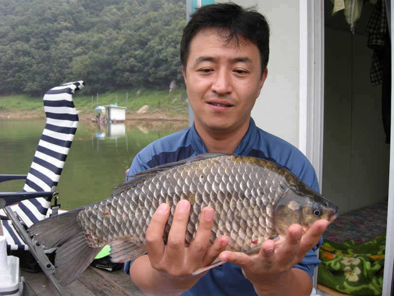 저력의 충주호 오늘도 4자 행진은 이어지고 있습니다 (조황조행기 - 특파원조황)