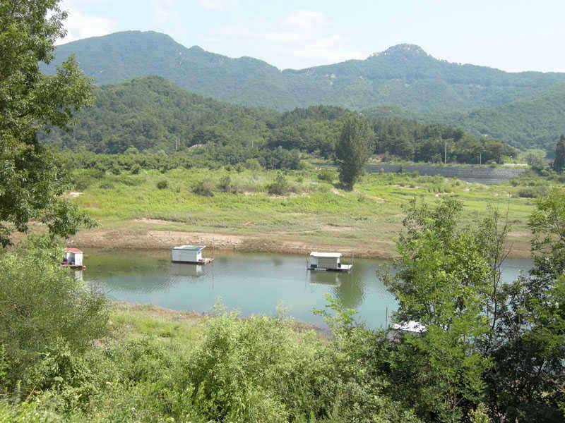 저력의 충주호 오늘도 4자 행진은 이어지고 있습니다 (조황조행기 - 특파원조황)