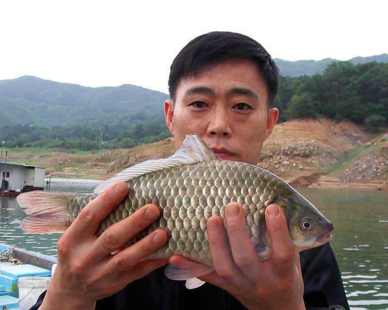 저력의 충주호 오늘도 4자 행진은 이어지고 있습니다 (조황조행기 - 특파원조황)