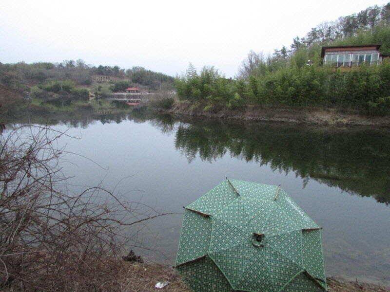 4월 2째주 조황입니다 (조황조행기 - 특파원조황)
