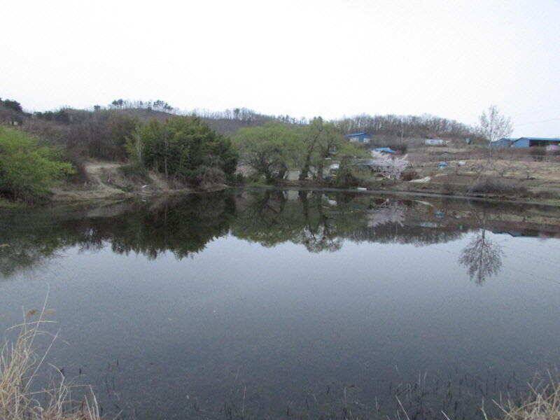 4월 2째주 조황입니다 (조황조행기 - 특파원조황)