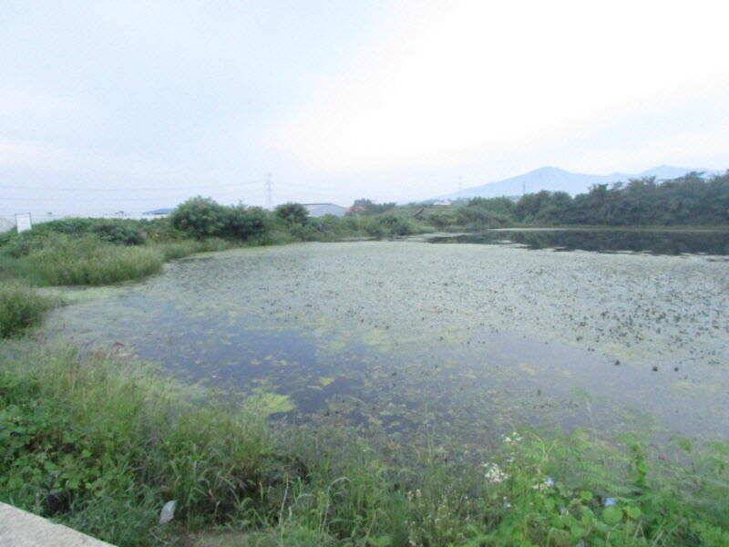 9월 첫째주 조황입니다 (조황조행기 - 특파원조황)