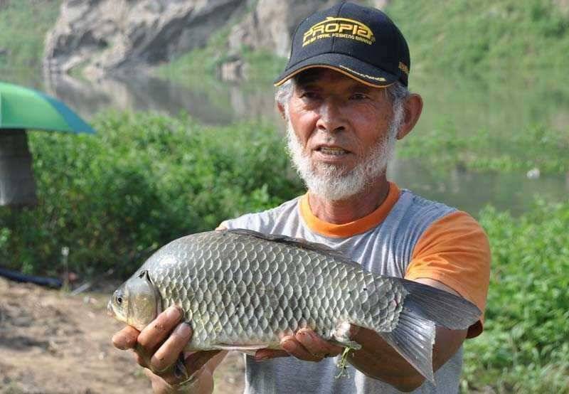 명서노지 감히 대 호황이라 말하겠습니다 (조황조행기 - 특파원조황)