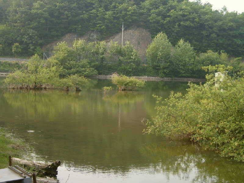 개심지 주말조황 (조황조행기 - 특파원조황)