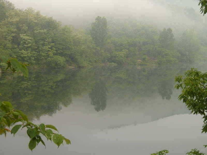 죽산지 영동 죽산지 (조황조행기 - 특파원조황)