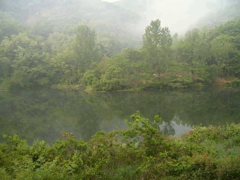 죽산지 영동 죽산지 (조황조행기 - 특파원조황)