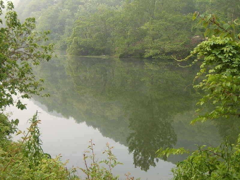 죽산지 영동 죽산지 (조황조행기 - 특파원조황)