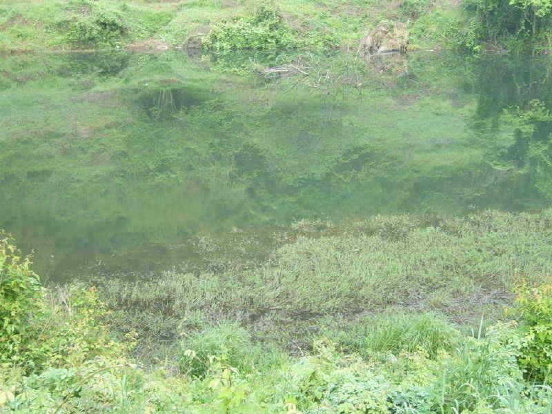 죽산지 영동 죽산지 (조황조행기 - 특파원조황)