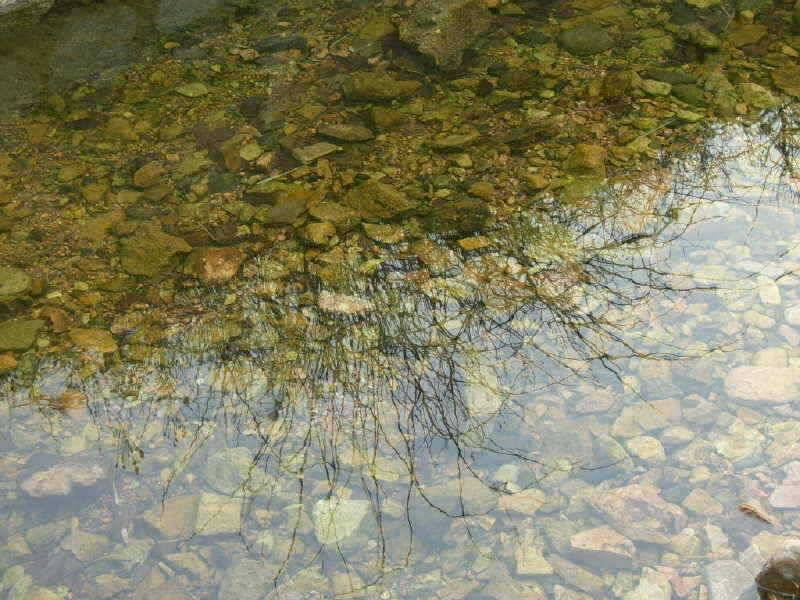 죽산지 영동 죽산지 (조황조행기 - 특파원조황)