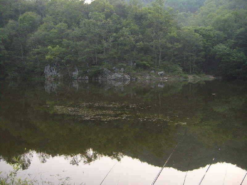 영동권 계곡형 저수지 답사 (조황조행기 - 특파원조황)