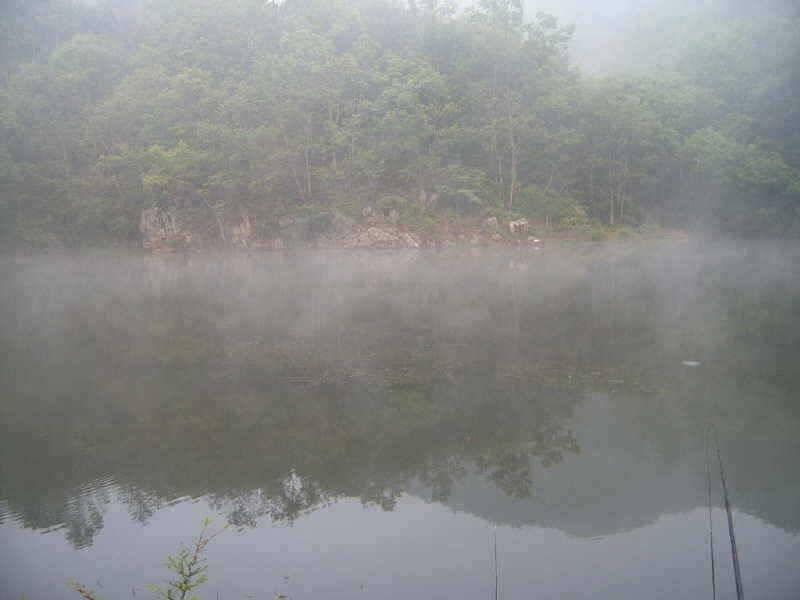 영동권 계곡형 저수지 답사 (조황조행기 - 특파원조황)