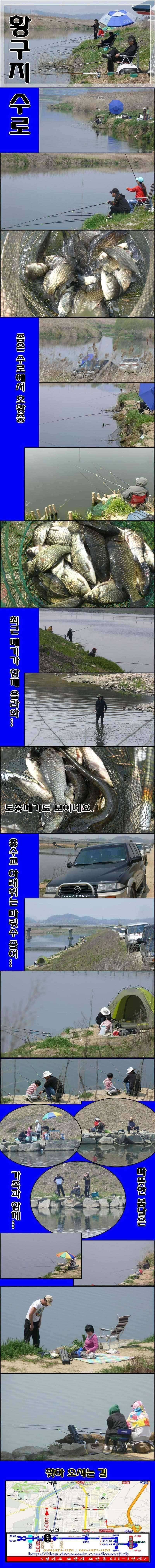 회화리보의 월척 (조황조행기 - 특파원조황)