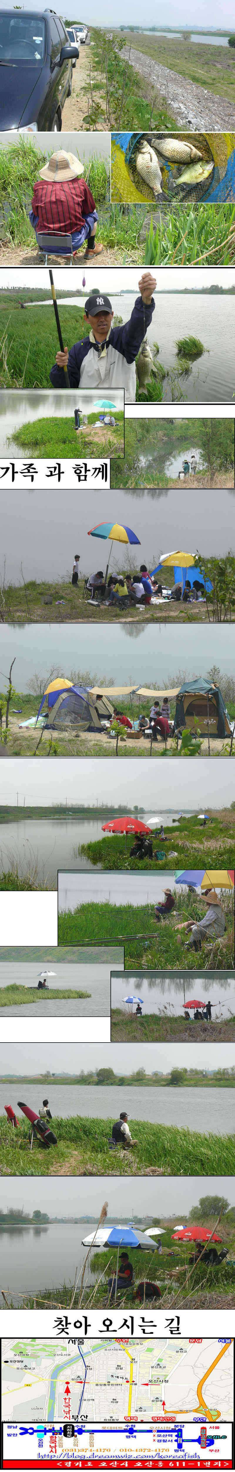 월척대박 대물밭 회화리보 (조황조행기 - 특파원조황)