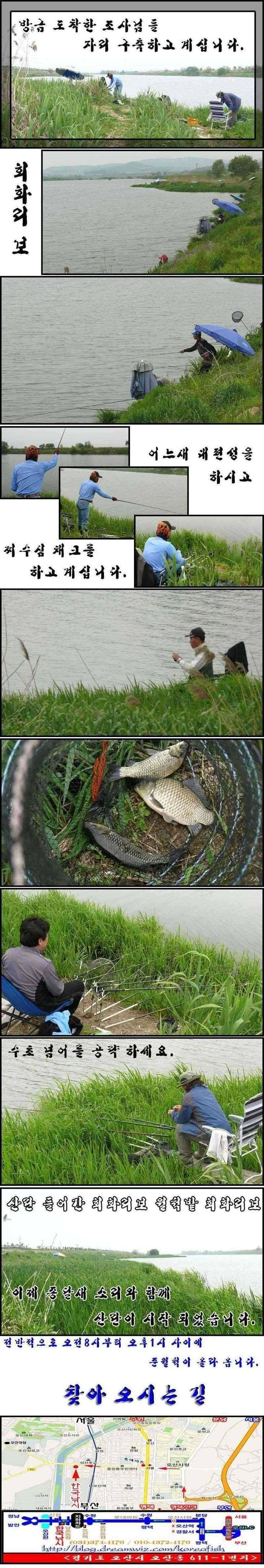 이제야 산란 들어간 회화리보 준월척 행진 (조황조행기 - 특파원조황)