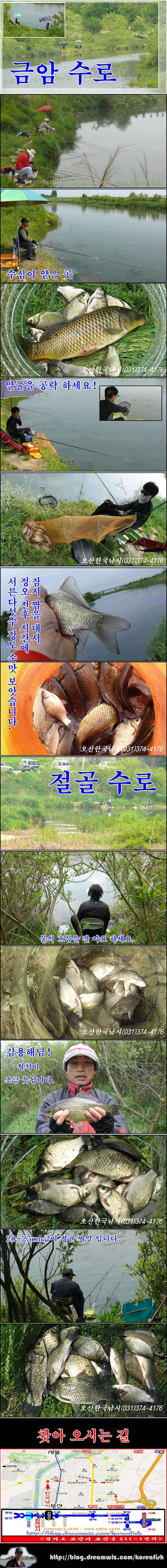 배수에 관계없는 오산권 수로낚시 (조황조행기 - 특파원조황)
