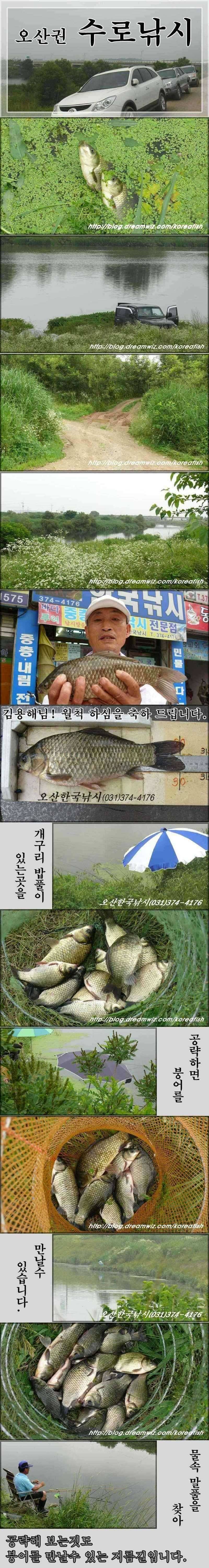 금암수로와 회화리보 (조황조행기 - 특파원조황)